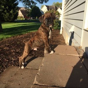 Meet your Posher, Nick